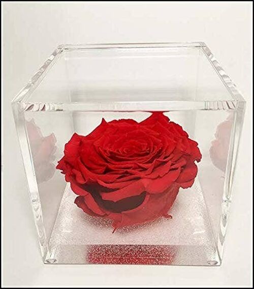 Cubo Rosa eterna stabilizzata Rossa profumata 10cm 10x10x10