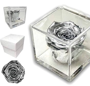 Cube de rose préservée en argent de 8 cm, boîte parfumée Rose Vera