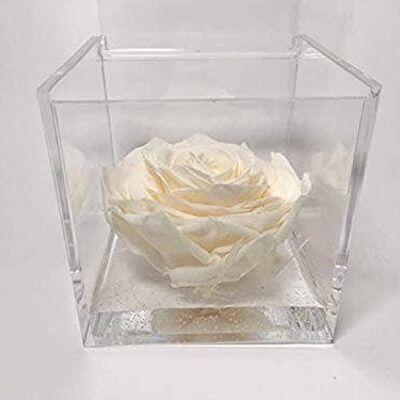 White Preserved Rose Cube 10cm Handmade