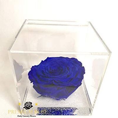 Cube Rose Éternelle Parfumée Bleu 12cm Fabriqué en Italie