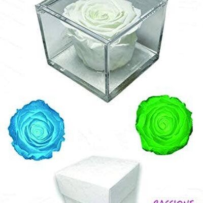 Cube Rose Éternelle Eclat Parfumé Vert Phosphorescent 8cm
