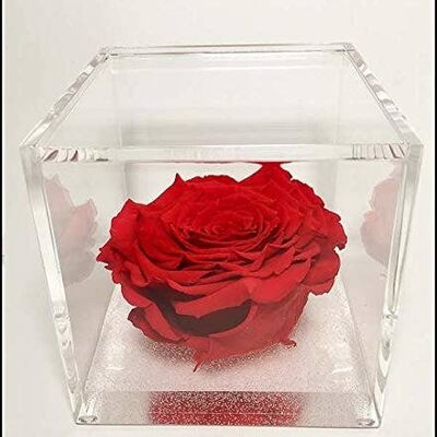 Cube Rose Éternelle Rouge 12cm Saint Valentin, Cadeau de Noël