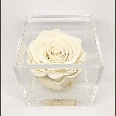 Cube Rose Éternelle Blanche Stabilisée 12cm Fabriqué à la Main