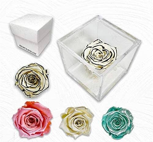 Cubo Rose eterna Stabilizzata Bianca cioccolato 8cm