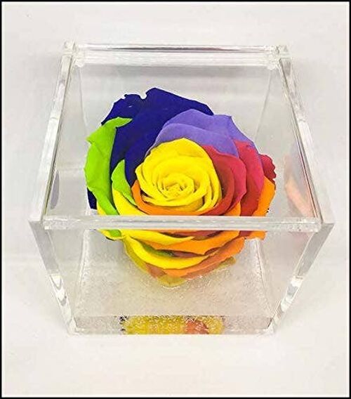 Cubo Rose Eterna Stabilizzata Multicolore 8cm Made in Italy