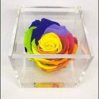 Cube Rose Eternelle Stabilisée Multicolore 8cm Fabriqué en Italie
