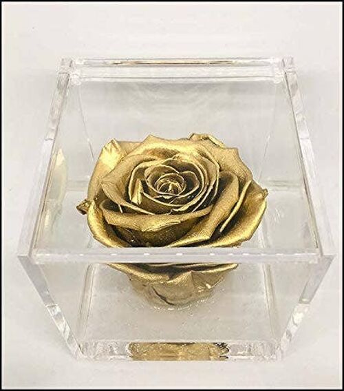Cubo Rose Eterna Stabilizzata oro 8cm Artigianale made ITALY