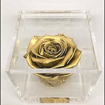 Cubo Rosa Eterna Oro estabilizado 8cm Fabricación artesanal ITALIA