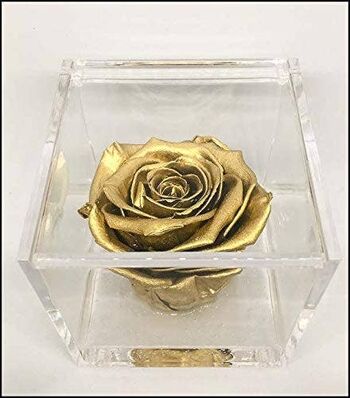 Cube Rose Éternelle Or Stabilisé 8cm Artisan made ITALY
