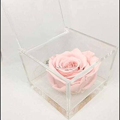 Cube Rose Éternelle Stabilisée Rose 10cm Fabriqué en Italie