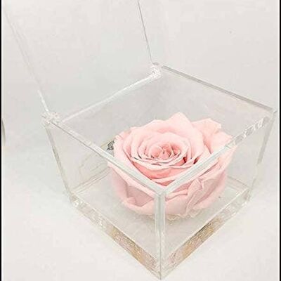 Cubo Rose eterna Stabilizzata Rosa 10cm Made in Italy