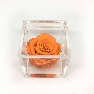 Cubo Rosas Perfumadas Naranja Eterna 5cm efecto agua Italia