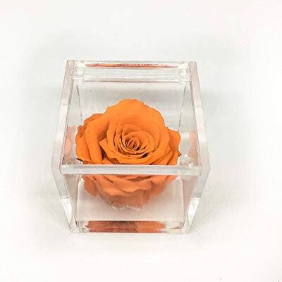 Cubo Rose eterne profumate Arancione 5cm effetto acqua Italy