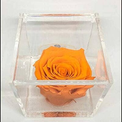 Cube Rose Parfumée Orange Éternelle 6cm, Cube Plexiglas