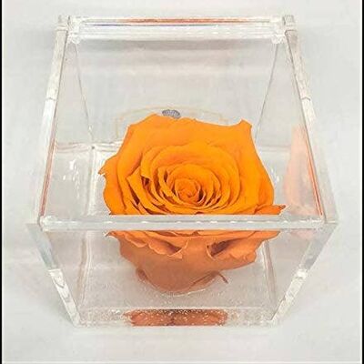 Cubo Rose eterne profumate Arancione 6cm, Cubo Plexiglass