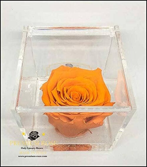 Cubo Rose eterne Profumate Arancione 8cm Base effetto acqua