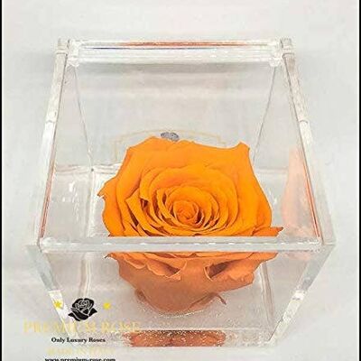 Cube Roses Éternelles Parfumées Orange 8cm Base Effet Eau