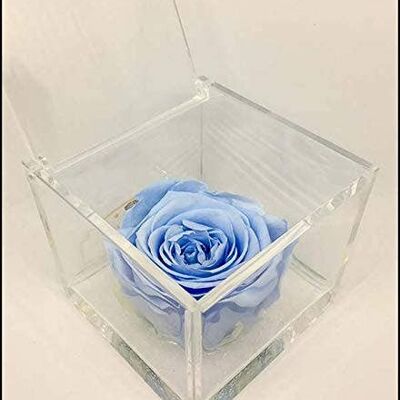 Cubo de rosas perfumadas de Eternal azul, 8 cm, regalo a favor