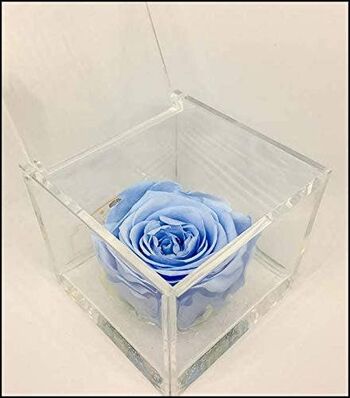 Cube de rose éternelle parfumée bleue 8cm cadeau de faveur
