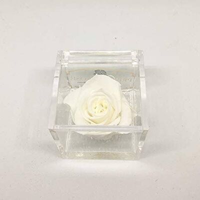 Cubo Rose eterne profumate Bianca 5cm Bomboniera Made Italy