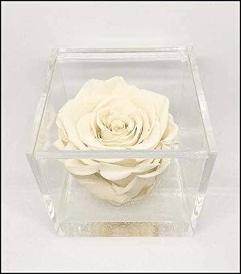 Cube Rose Éternelle Parfumée Blanche 6cm Made Italy Favor