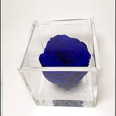 Cubo de Rosa Perfumada Azul Eterno 8cm Regalo Hecho a Mano Italia