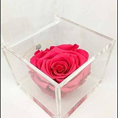 Cube Roses Éternelles Parfumées Fuchsia 6cm Fabriqué à la Main en Italie