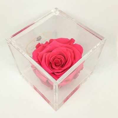 Cube Roses Éternelles Parfumées Fuchsia 8cm Cadeau Cadeau, Italie