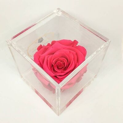 Cubo Rose eterne Profumate Fucsia 8cm Regalo Gift, Italy