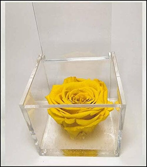 Cubo Rose eterne profumate Gialla 6cm Artigianale Made Italy