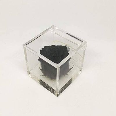 Cubo Rosa Eterna Perfumado Negro 5cm base efecto agua Regalo