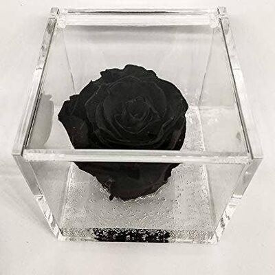 Cubo Rose eterne profumate Nera 6cm Regalo  Made in Italy