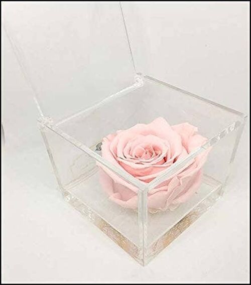 Cubo Rose eterne profumate Rosa 5cm effetto acqua bomboniere