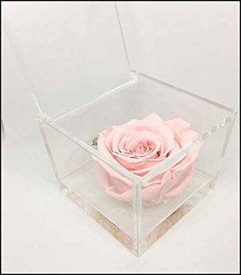 Cubo Eternal Scented Roses Pink 5cm effet d'eau favorise