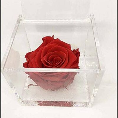 Cube Rose Éternelle Parfumée Rouge 8cm Cadeau Saint Valentin