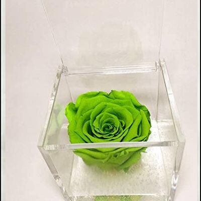 Cubo Rosas Eternas Verde Perfumado 8cm Regalo Made in Italy