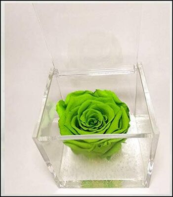 Cube Roses Éternelles Parfumées Vert 8cm Cadeau Fabriqué en Italie