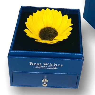 Sunflower in Box Jewelery Box Blue, open