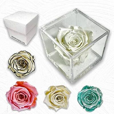 Nouveau 1805 Cube Rose Stabilisé Blanc Nacré Satiné