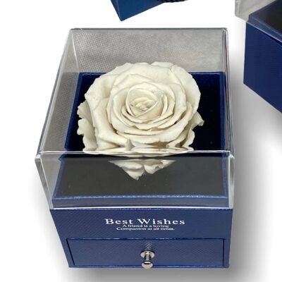 White Eternal Rose in Box Blue Jewelery Box, Open