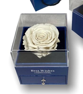 Rose éternelle blanche dans une boîte Boîte à bijoux bleue, ouverte