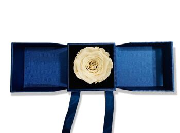 Rose Éternelle Fuchsia en Boîte Boîte à Bijoux Bleue, Vraie Rose 2