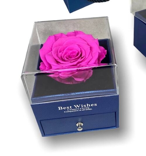 Rosa eterna Fucsia in scatola Box portagioie Blu, aperto