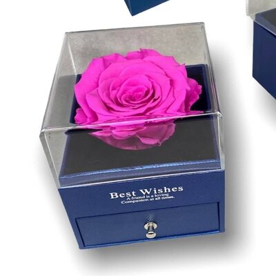 Rosa eterna Fucsia in scatola Box portagioie Blu, aperto