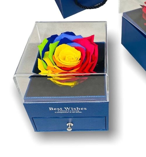 Rosa eterna Multicolor in scatola Box portagioie Blu, aperto