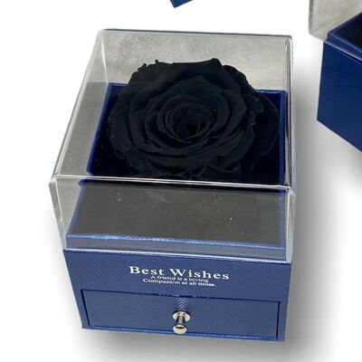 Rose éternelle noire dans une boîte Boîte à bijoux bleue, ouverte