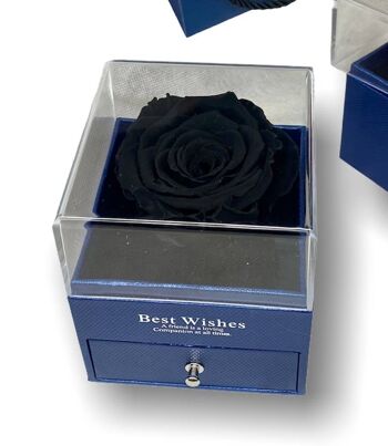 Rose éternelle noire dans une boîte Boîte à bijoux bleue, ouverte