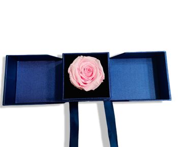 Rose Éternelle Rose dans une Boîte Boîte à Bijoux Bleue, Vraie Rose 1