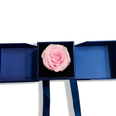 Rosa eterna Rosa in scatola Box portagioie Blu,Rosa vera