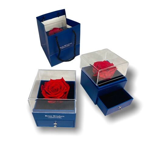 Rosa eterna Rossa in scatola Box portagioie Blu, aperto